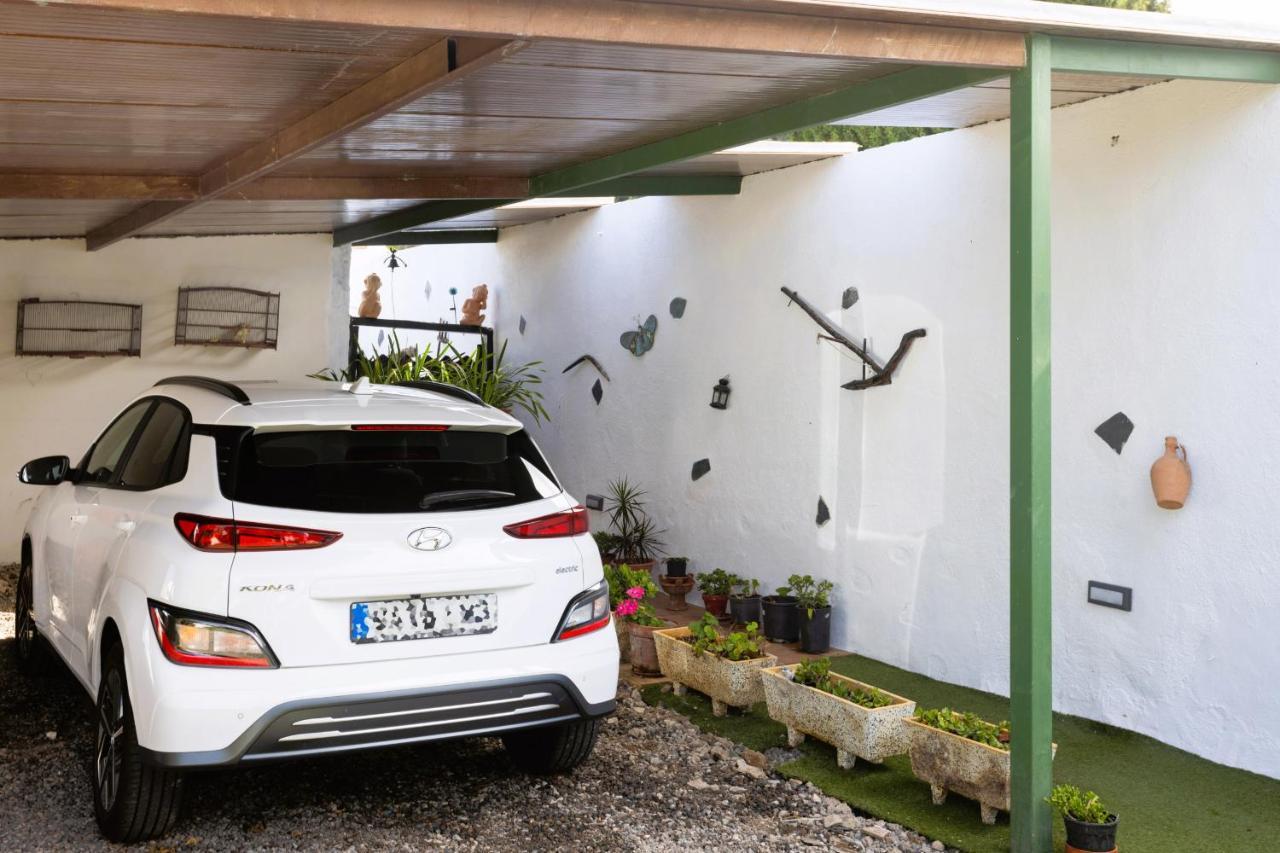 イコー・デ・ロス・ビノス Casa Cateyma With Poolヴィラ エクステリア 写真